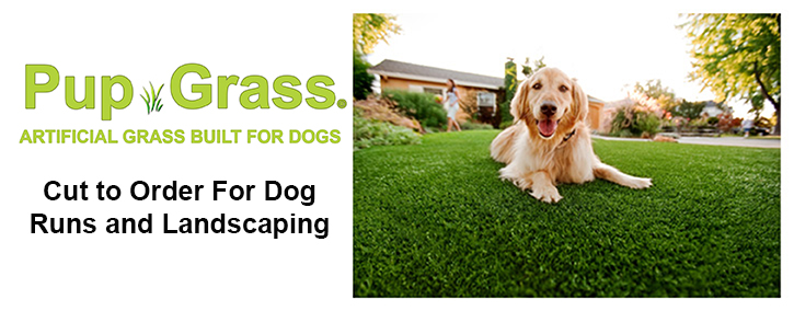 Pup Grass Patio Lawn Kits