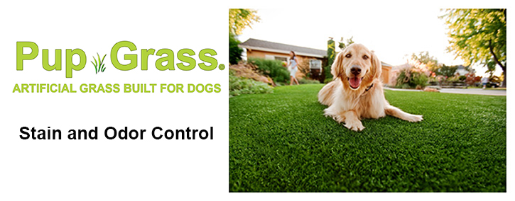 Pup Grass Patio Lawn Kits